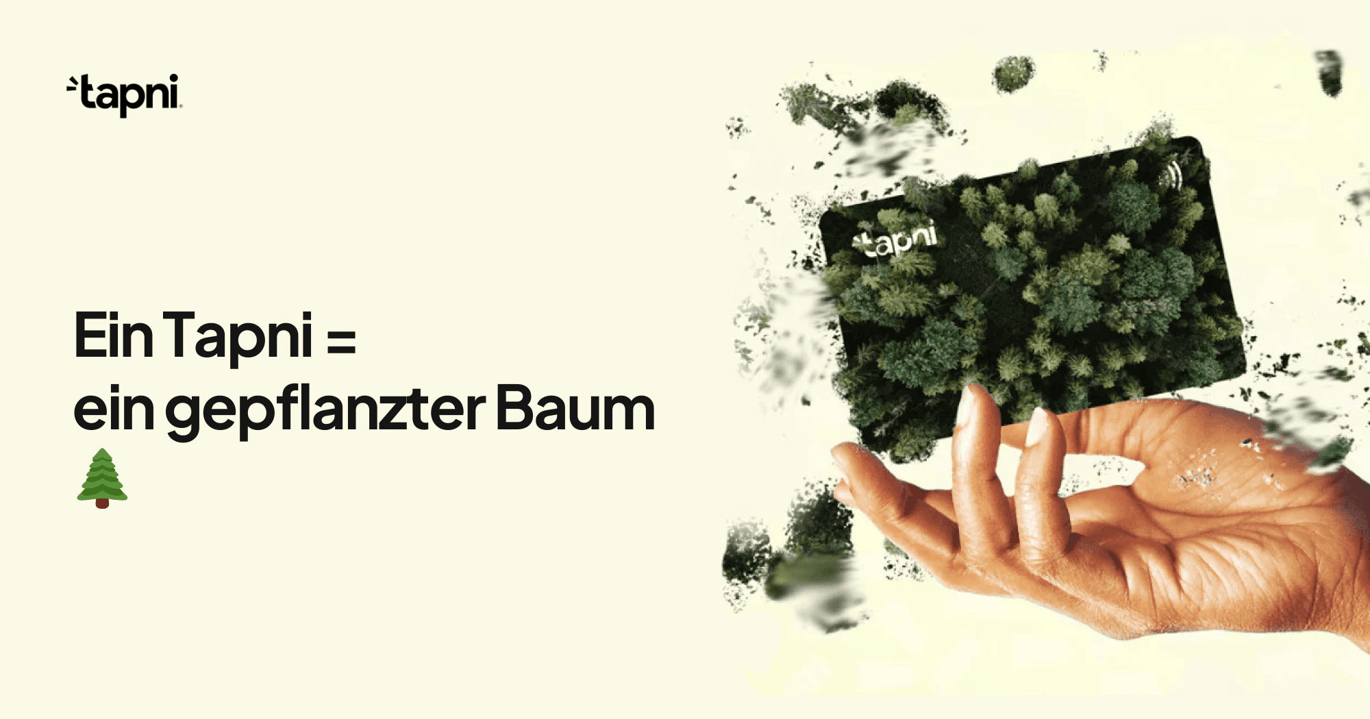 Ein Tapni = ein gepflanzter Baum